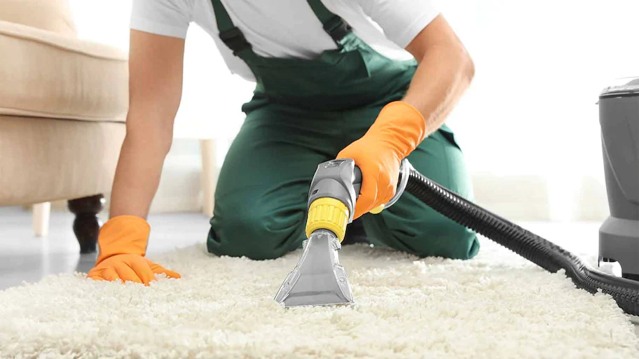 carpet cleaner removing dirt